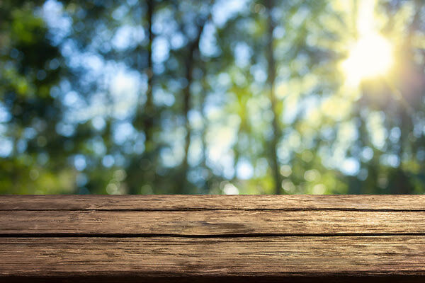 Imagen de Parque El Camaleón