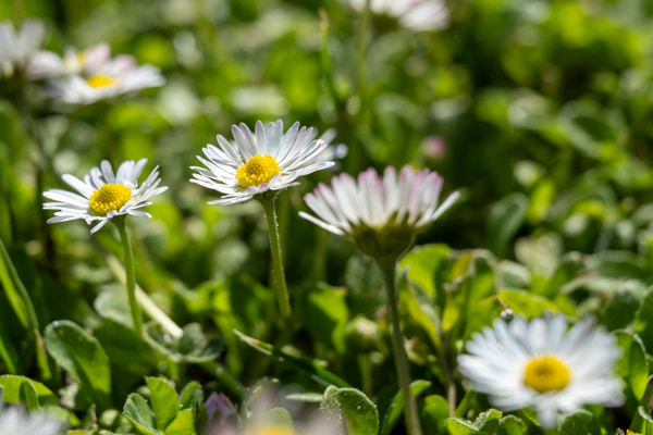 Imagen de Parque El Zaudín