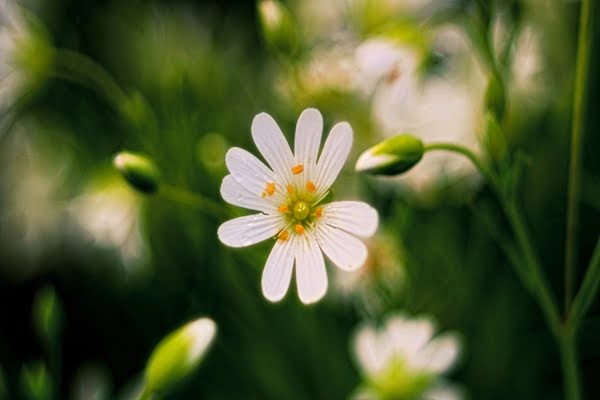 Imagen de Parque Moret
