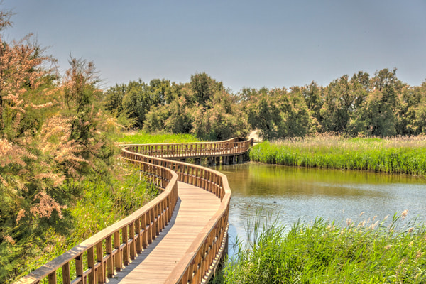 Imagen de Parque Nacional de las Tablas de Daimiel