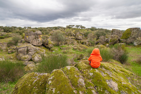 Imagen de Parque Natural de Cornalvo