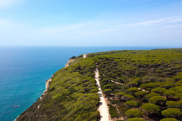 Imagen de Parque Natural de la Breña y Marismas de Barbate