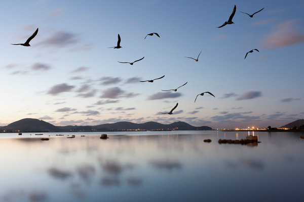 Imagen de Parque Natural de las Marismas de Santoña, Victoria y Joyel