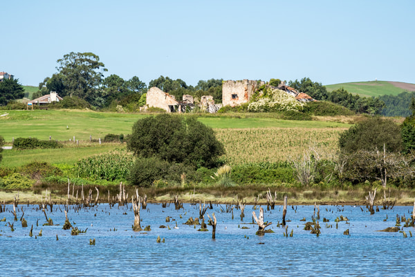 Imagen de Parque Natural de Oyambre