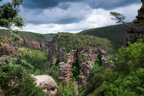 Imagen de Parque Natural del Alto Tajo