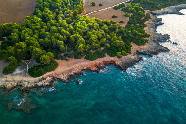 Imagen de Paseo Litoral Sa Coma - S'Illot