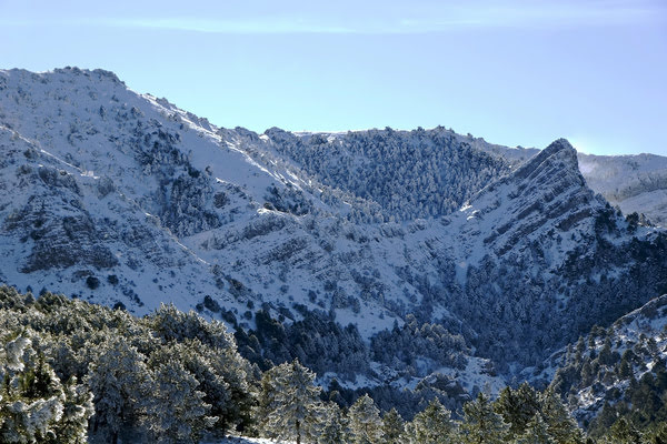 Imagen de Pico Gilillo