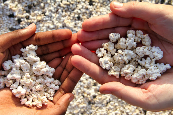 Imagen de Playa de Las Palomitas