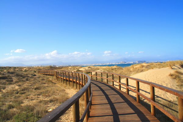 Imagen de Playa de los Tusales