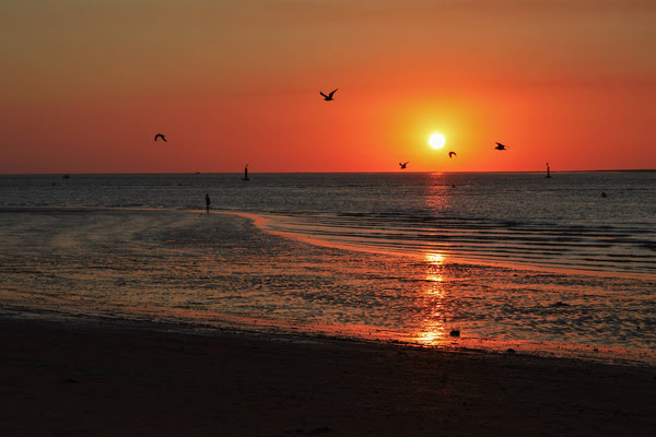 Imagen de Playa de Sanlúcar de Barrameda