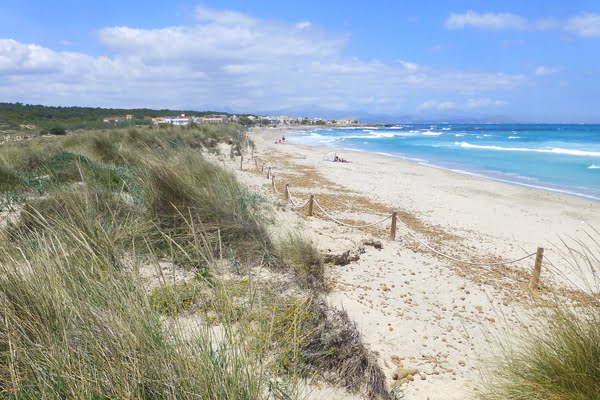 Imagen de Playa de Son Serra de Marina