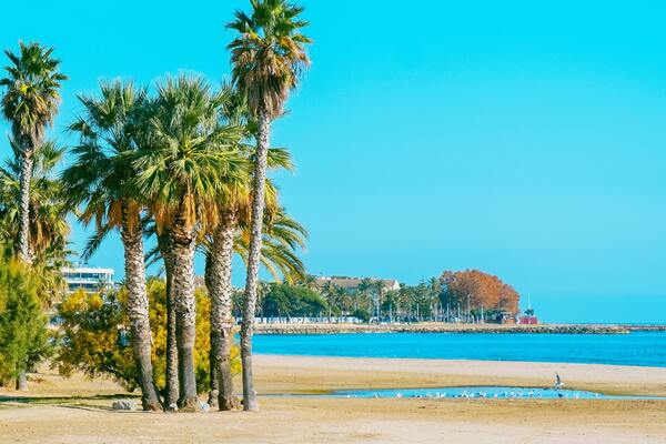 Imagen de Playa del Regueral