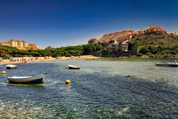 Imagen de Playa La Cala del Pino