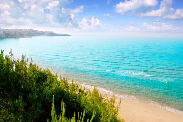 Imagen de Playa Larga