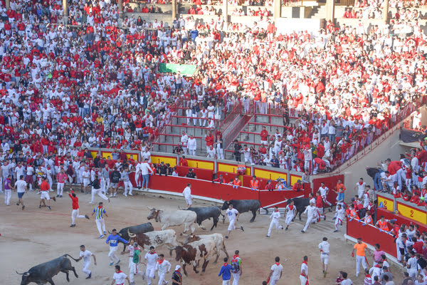Imagen de Plaza de Toros de Pamplona