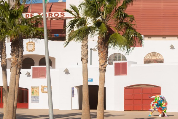 Imagen de Plaza de Toros
