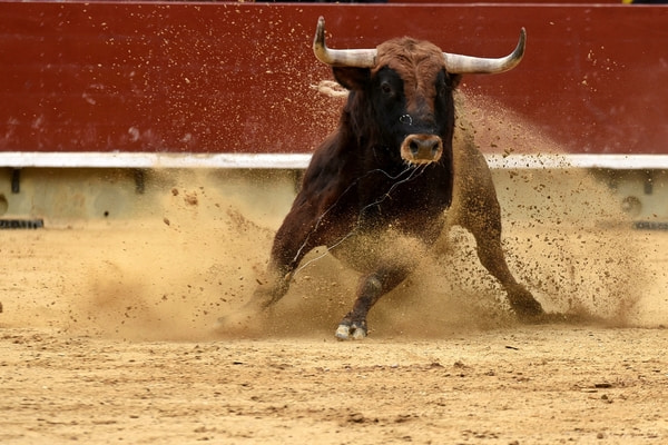 Imagen de Plaza de Toros