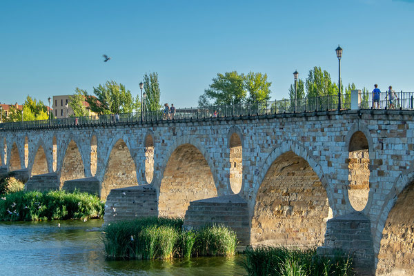 Imagen de Puente de Piedra