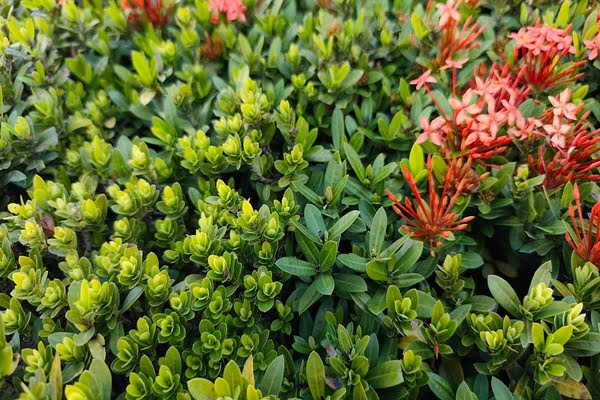 Imagen de Quinta de Torre Arias