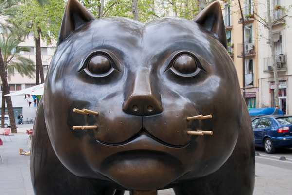 Imagen de Rambla del Raval