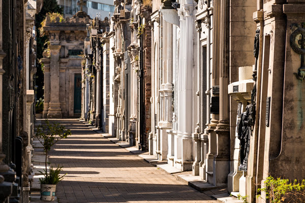 Imagen de Recoleta