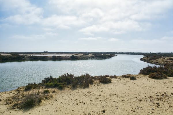 Imagen de Reserva Natural Punta Estinas - Sabinar