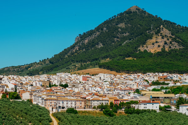 Imagen de Rute
