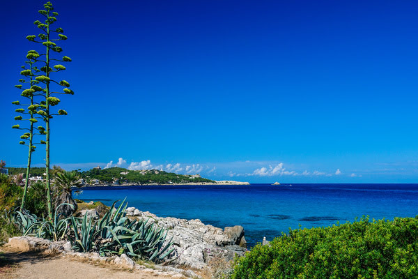 Imagen de Sa Pedruscada