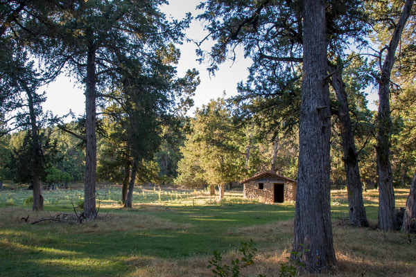 Imagen de Sabinar de Calatañazor