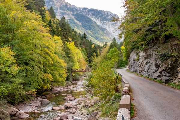 Imagen de Selva de Oza