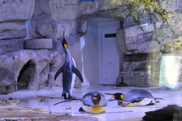 Imagen de Tierpark Hellabrunn