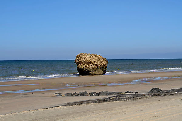 Imagen de Torre de la Higuera