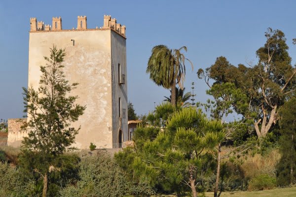 Imagen de Torre del Rame