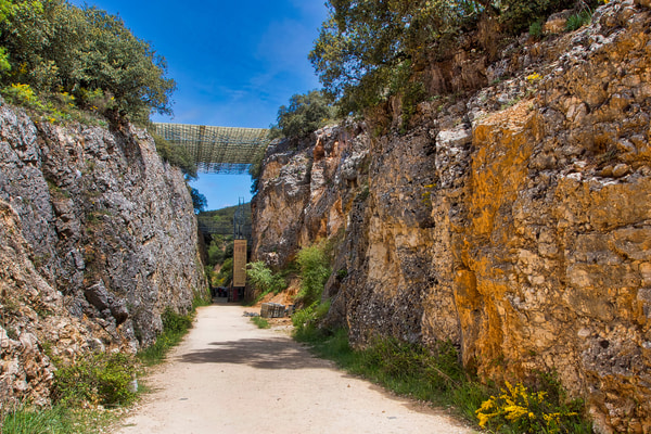 Imagen de Yacimientos de Atapuerca