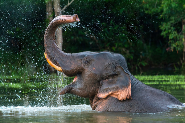 Imagen de Zoológico y Jardín Botánico