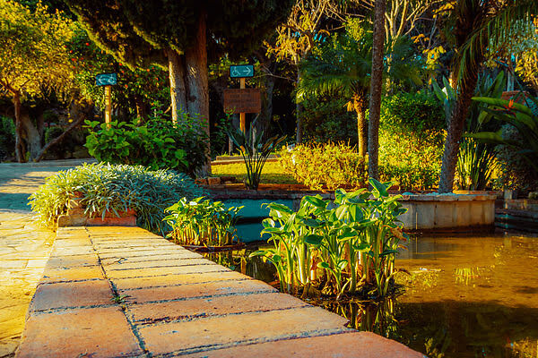 Imagen de Jardín Botánico Molino de Inca