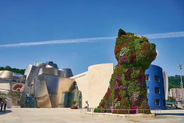 Imagen de Museo Guggenheim Bilbao