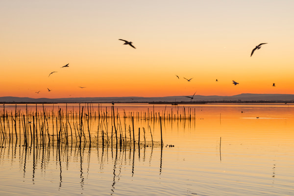 Imagen de Parque Natural de La Albufera