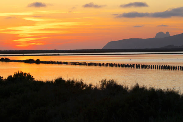 Imagen de Parque natural de las Salinas