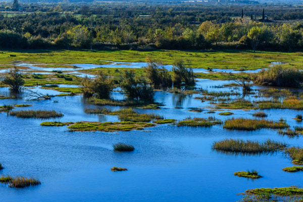 Imagen de Parque Natural de Los Aiguamolls de l'Empordà