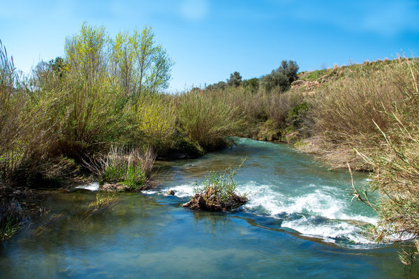 Imagen de Parque Natural del Turia