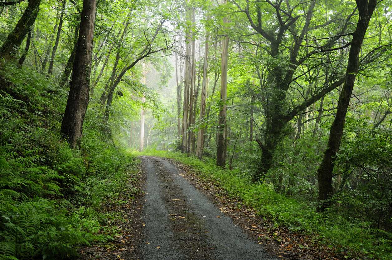 Imagen de Parque Natural Fragas do Eume