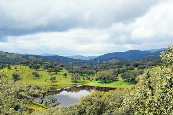 Imagen de Parque Natural Sierra de Aracena y Picos de Aroche
