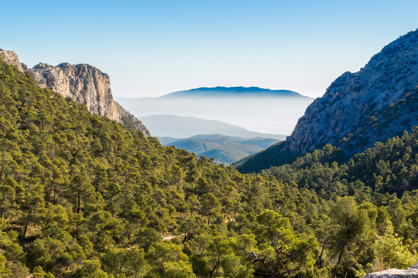 Imagen de Parque Regional de Sierra Espuña