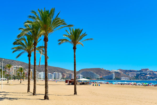 Imagen de Playa de San Antonio