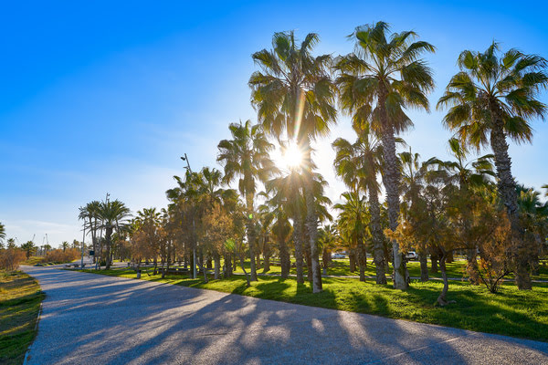 Imagen de Playa del Pinar