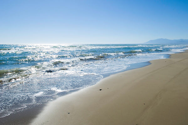 Imagen de Playa El Alicate