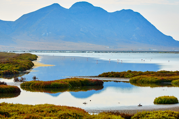 Imagen de Salinas de Cabo de Gata