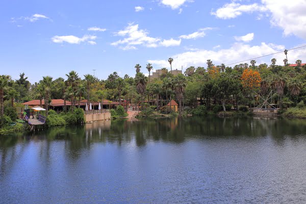 Imagen de Selwo Aventura