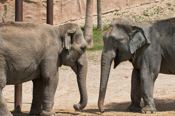 Imagen de Terra Natura